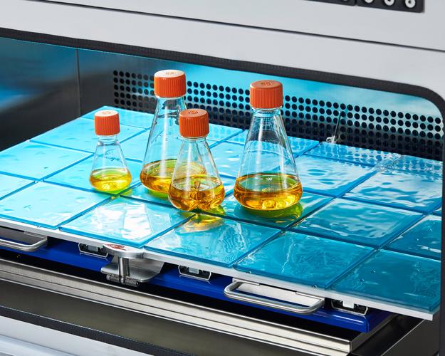 邓甜,公司经营范围包括:从事生物科技领域内的技术开发